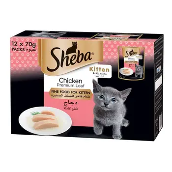 شيبا دجاج للقطط الصغيرة 12قطعة
