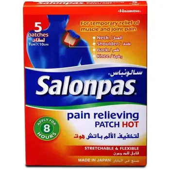Salonpas Hot Pain Relieving Patches 5 Pieces