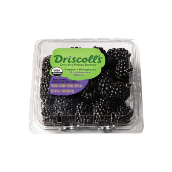 دريسكو توت بري أسود 1عبوة