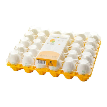 مزارع الفيلق صينية بيض ابيض كبير 30قطعة