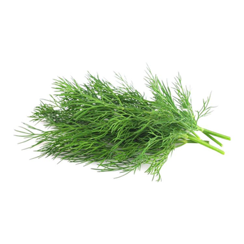Fresh Dill Loose