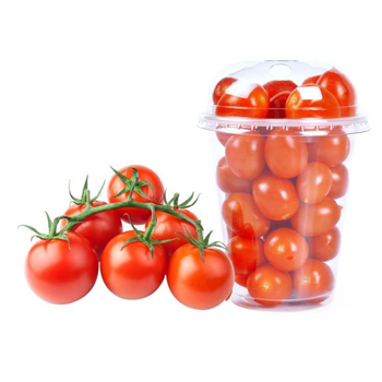 طماطم شيري كاس 250 إلى 300جرام
