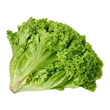 Bionda Lettuce Local 250g