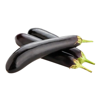 باذنجان أسود طويل