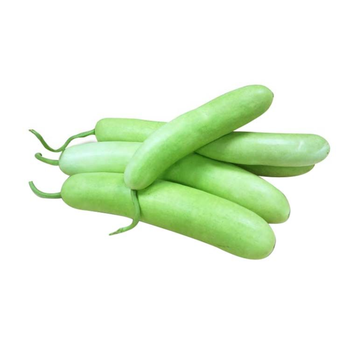 قرع اخضر طويل محلي