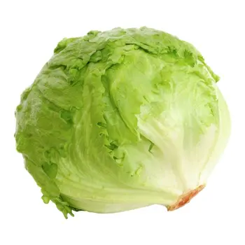 Iceberg Lettuce Local