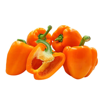 فلفل برتقالي
