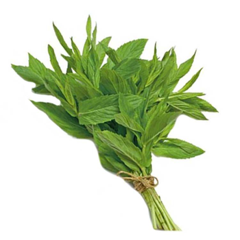 Fresh Basil Leaves 1 Bunch