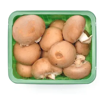 مشروم بني 250جرم