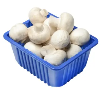 Mushroom sliced white 250g