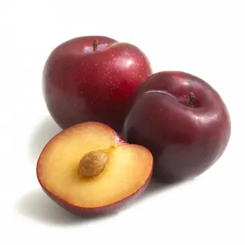 Durrat Janayen Plum Red AAfrician 1Kg