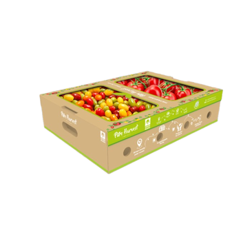 Pure Harvest Family Box Tomatoes 3Kg