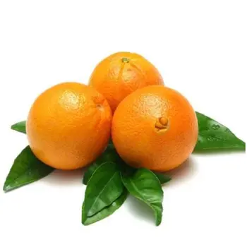 البرتقال أبوصرة مصري 500جرام