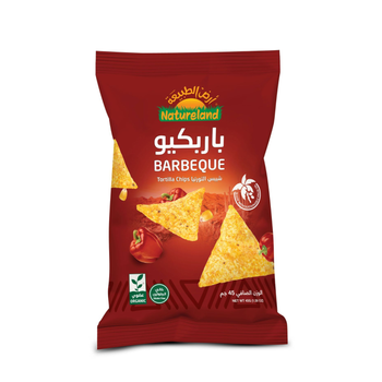 Natureland BBQ Tortilla Chips 45g