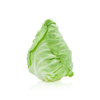 Organic Pointed Cabbage Holland 800g