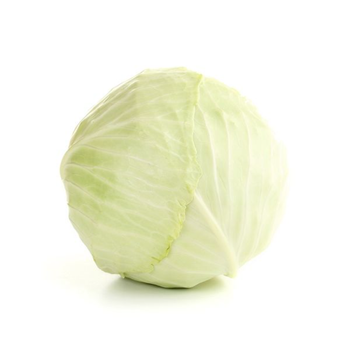 Organic White Cabbage Holland 100g