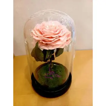 Perennial Rose Pink Single Piece