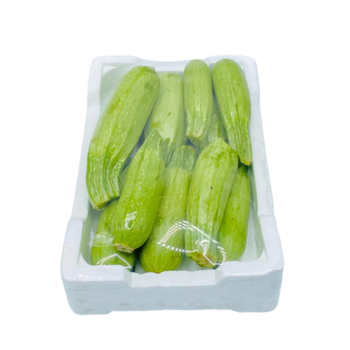 Fresh Zucchini Small