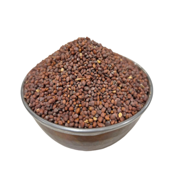 Radish Seeds 250g