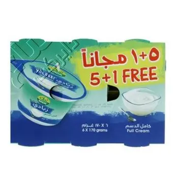 ندى - زبادي كامل الدسم 6 حبات × 170 جم