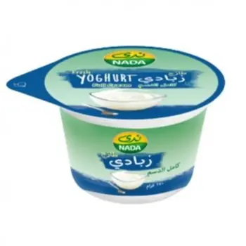 Nada Plain Yoghurt 170g
