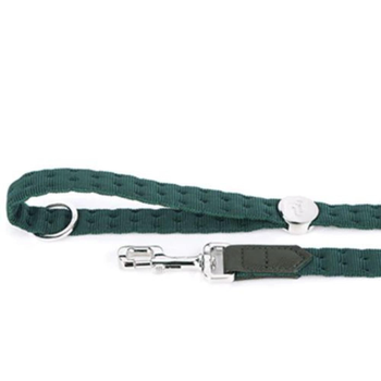 Green Nylon Leash with White Bronze Finishing Medium