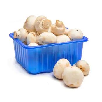 مشروم طازج (ابيض/ بني) 1علبة