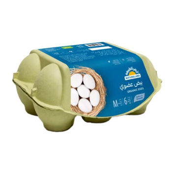 أرض الطبيعة بيض عضوي 6قطعه