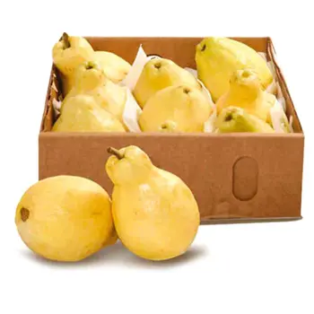 Yellow Guava 1.5kg