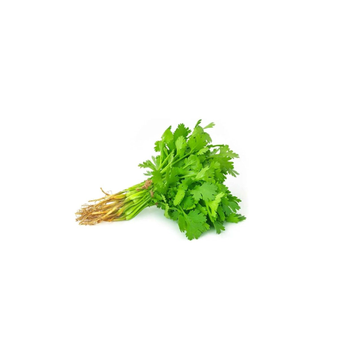 Fresh Coriander Bunch 1 Count