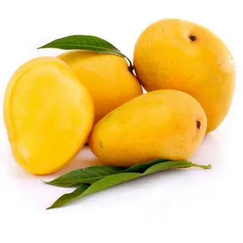 Supply Yemen / India / Peru Mango 500g