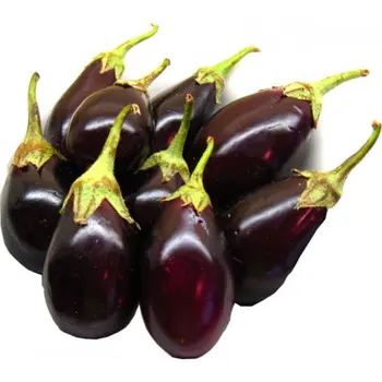 Fresh Small Eggplant Loose