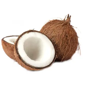 Coconut Lollipop Thailand