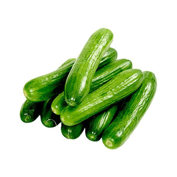 Fresh Cucumber 1kg
