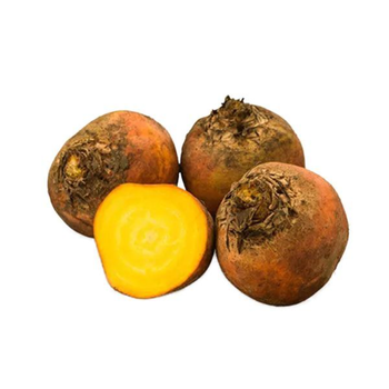 شمندر ذهبي صغير 200جرام