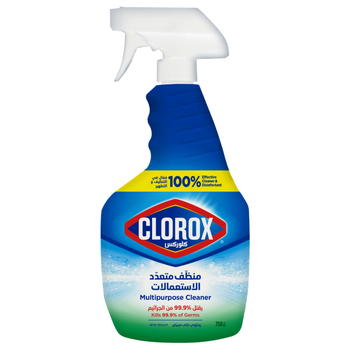 Clorox Multipurpose Cleaner Spray with Bleach 750ml