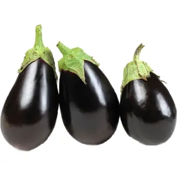 Lazat Alruman Eggplant 1Kg