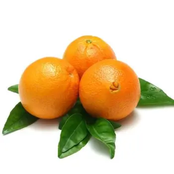 Navel Orange 1kg