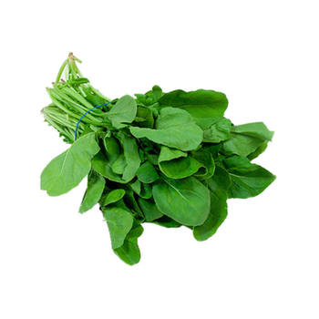 Arugula 1Piece