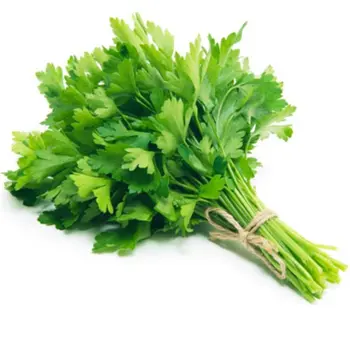 Parsley 1Piece