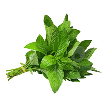 Mint Bundle Fresh 1Piece