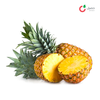 Pineapples Philippines 1 Pc - Haseel