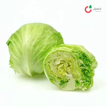 خس اسبيرج محلي حزمه - حصيل