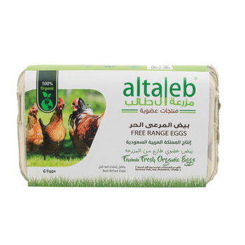 Altaeb Organic Free-Range Eggs 6 Pieces