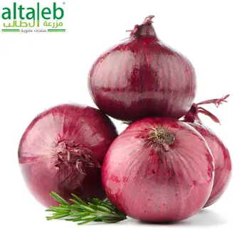 Altaleb Organic Red Onion 2kg