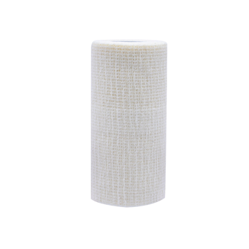 Adhesive Bandage 10cm x 4m