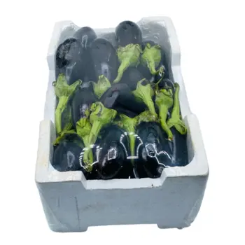 Fresh Large Eggplant Loose
