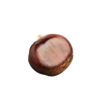 Chestnut Loose Fresh