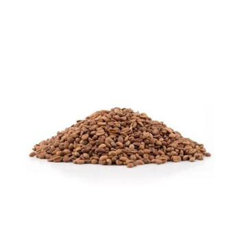 بن هرري باشنفر فاتح 250جرام