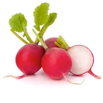 Supply Red radish 1Bundle